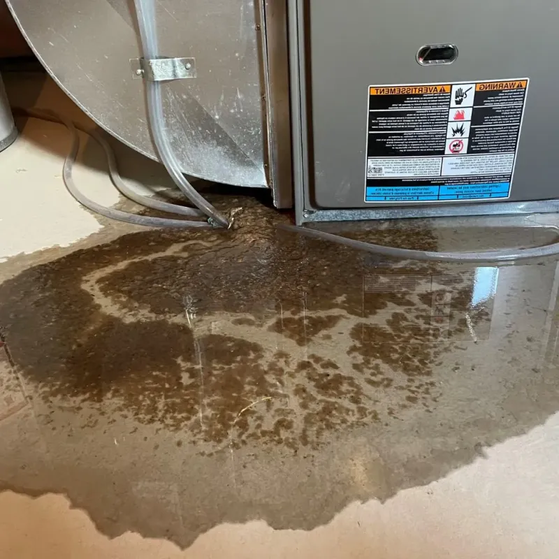 Pipe Burst and Leak Restoration in King of Prussia, PA